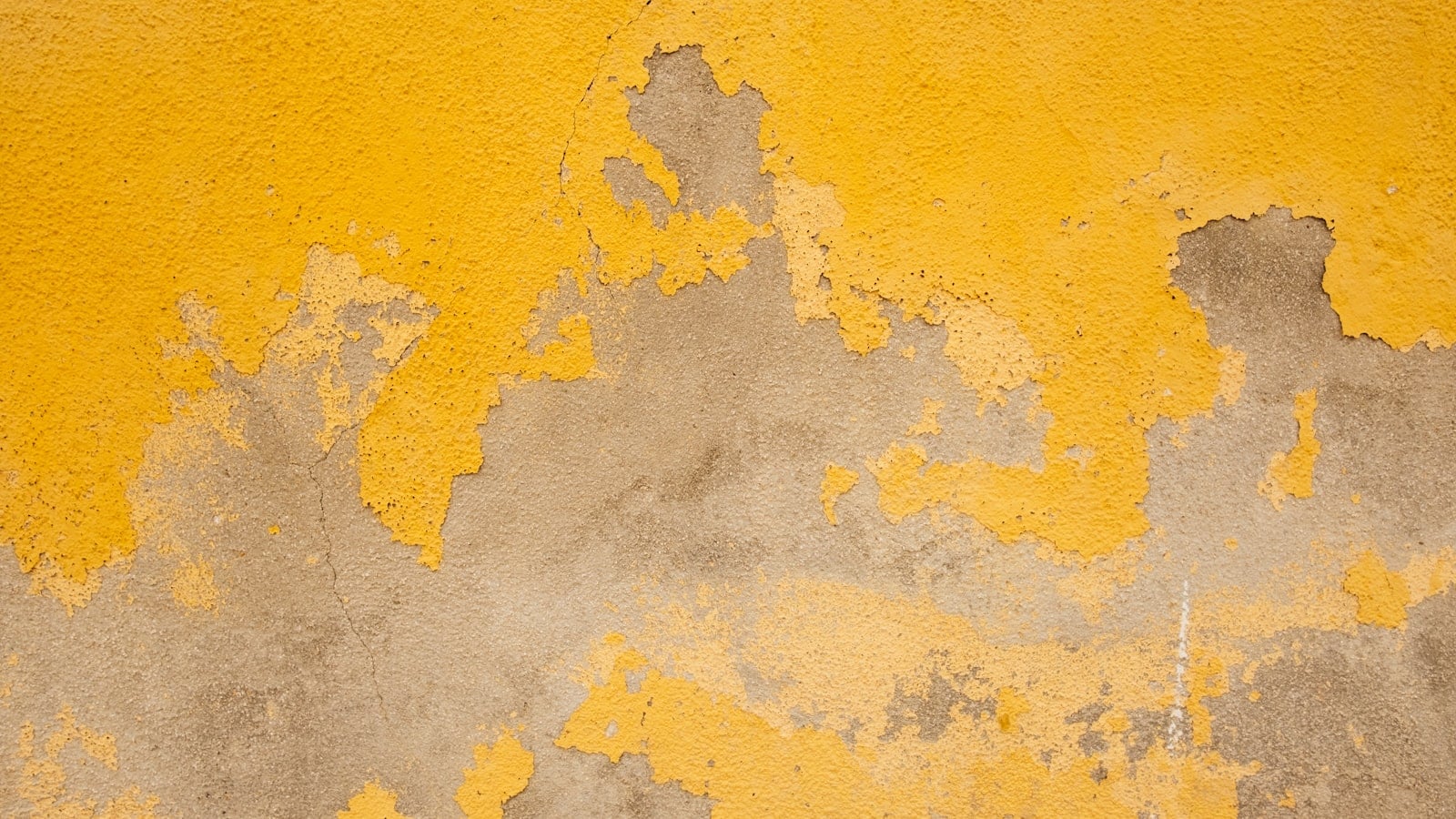 Limewash Exterior Rumah: Tren Home Exteriors 2026 yang Bikin Fasad Lebih Hangat dan Berkarakter