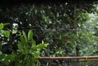 Rain Chain untuk Fasad Rumah: Tren Home Exteriors 2026 yang Estetik Sekaligus Fungsional