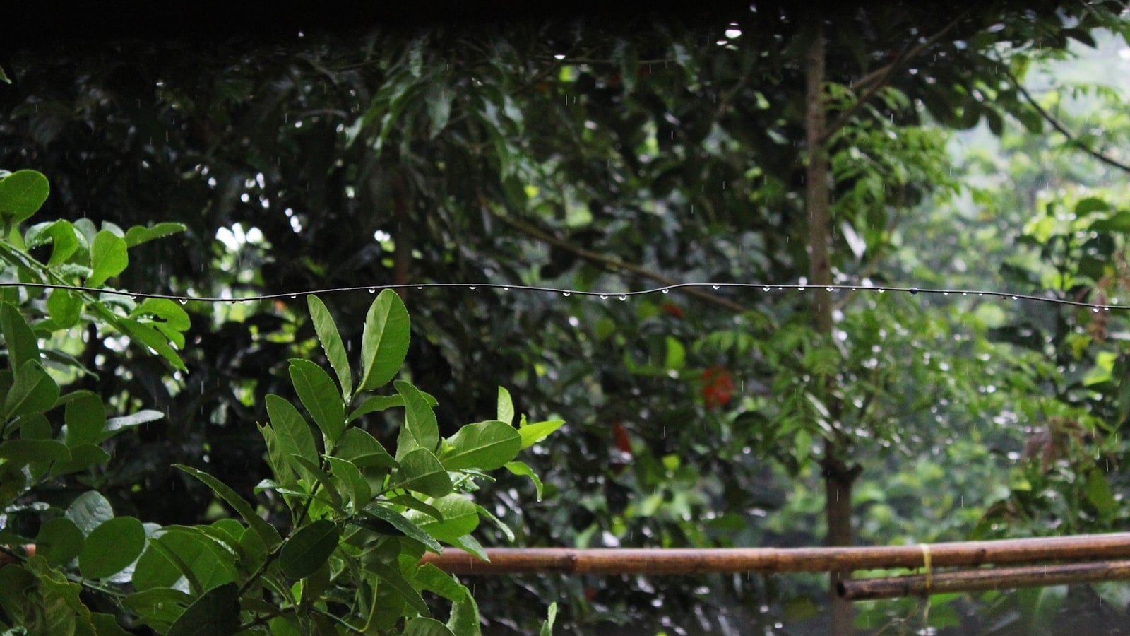 Rain Chain untuk Fasad Rumah: Tren Home Exteriors 2026 yang Estetik Sekaligus Fungsional