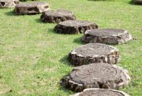 Stepping Stone Organik untuk Fasad Rumah: Tren Home Exteriors 2026 yang Bikin Jalur Masuk Lebih Natural dan Rapi