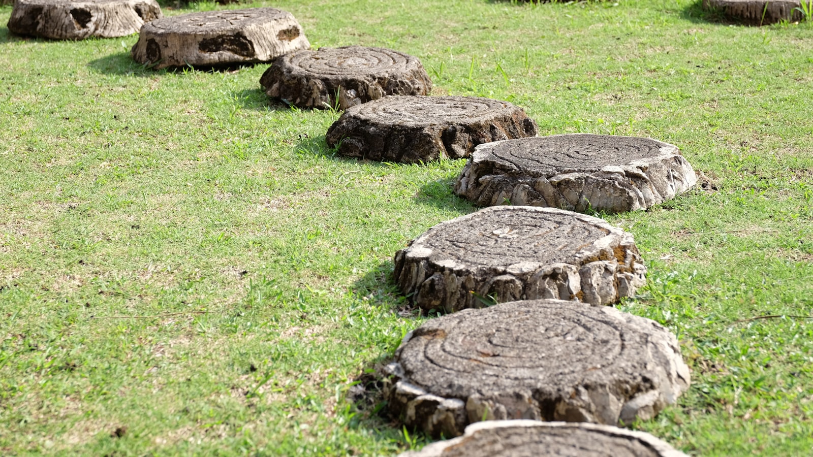 Stepping Stone Organik untuk Fasad Rumah: Tren Home Exteriors 2026 yang Bikin Jalur Masuk Lebih Natural dan Rapi